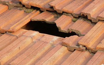 roof repair Owlcotes, Derbyshire
